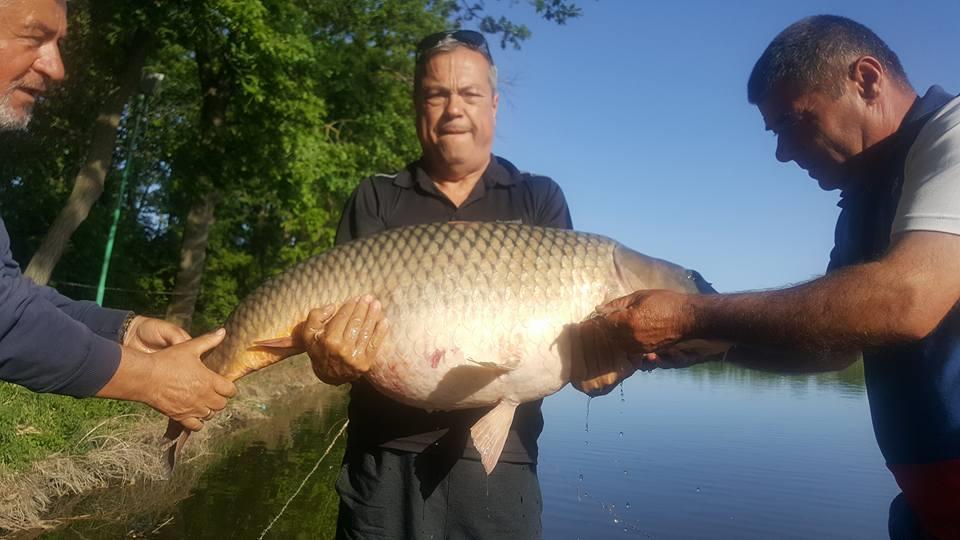 Moara Vlasiei 2 - 3170664417833286950388105297023521669513216n.jpg